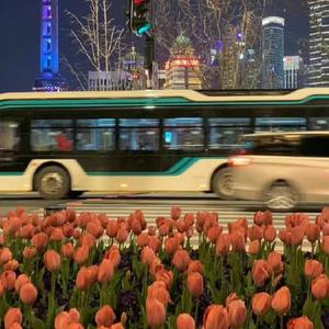 欧美丰满熟妇另类XXX000
