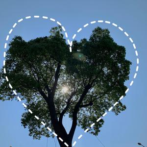 欧美丰满熟妇另类XXX000
